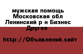 мужская помощь - Московская обл., Ленинский р-н Бизнес » Другое   